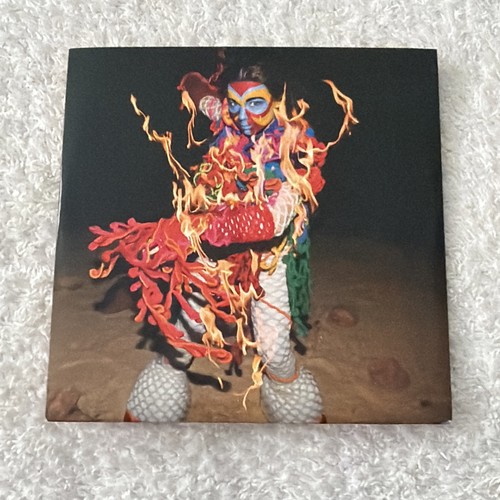 Promo björk earth intruders - promo,