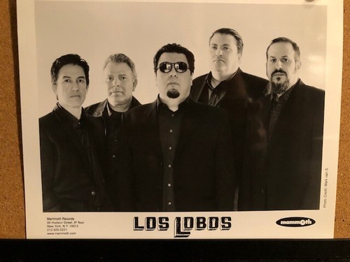 Press photo los lobos - lobos,, music