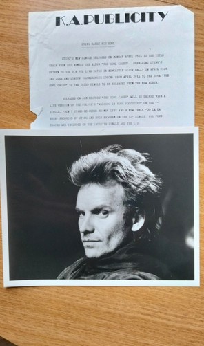 Sting press release and 10x8 - sting,